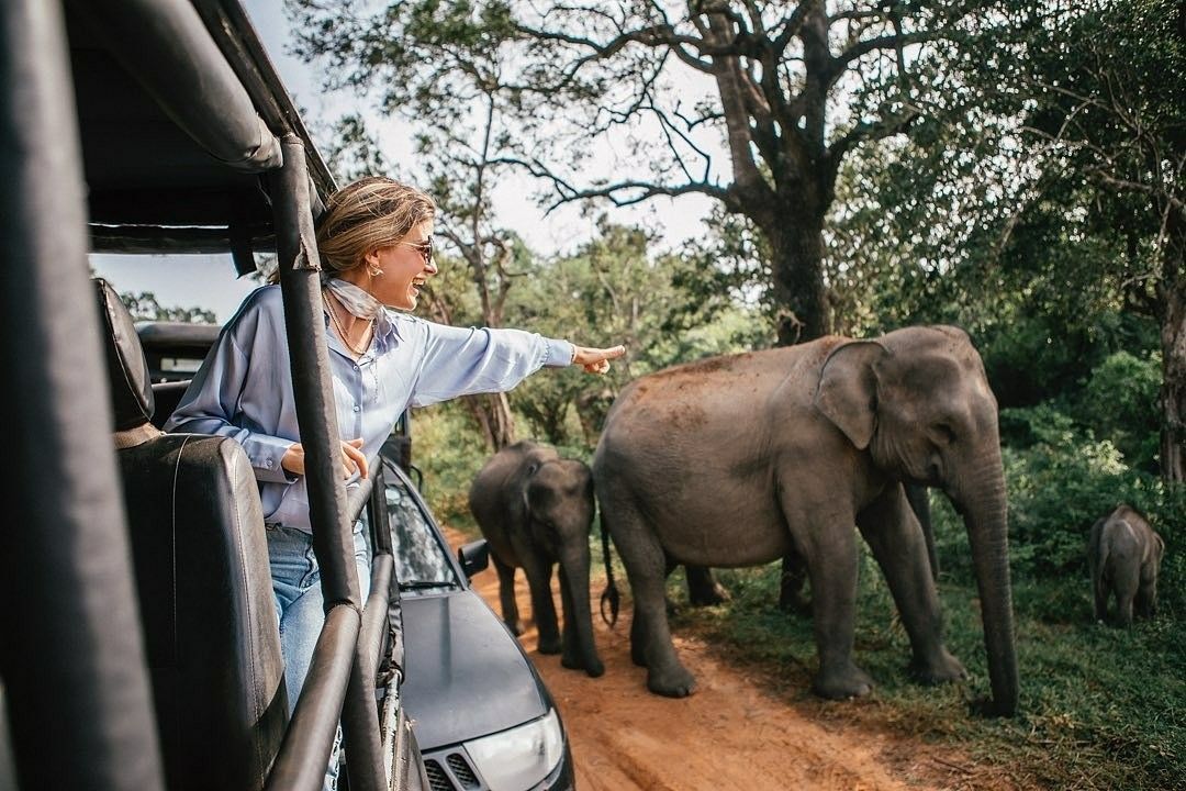 Yala Safari Day Tour